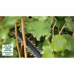 Foarfece de grădină BOSCH 060084A300 36 V