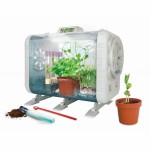 rezervație pentru animale terestre Clementoni