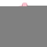 Extractor Nosiboo NO-01-02-en Roz Electric