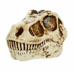 Figurine de Acțiune LOL Surprise! ["GrossMos"]