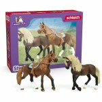 Playset Schleich Horse Club 4 Piese