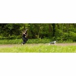 Lesă pentru câine Negru