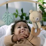 Hamac pentru Bebeluș Ingenuity