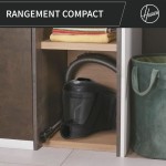 Extractor Hoover HP321PAF Gri 850 W