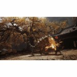 Joc video PlayStation 5 Just For Games Black Myth: Wukong