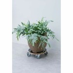 Suport cu roți pentru ghivece Nature Lemn Ø 38 cm