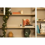 Cameră Video de Supraveghere Ring Automotive