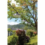 Ghirlandă de lumini LED Rio Gri LED 20