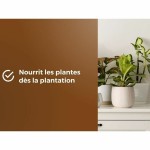 Pământ pentru ghiveci OR BRUN 6 L