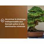 Pământ pentru ghiveci OR BRUN BROWN GOLD 6 L