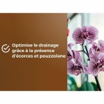 Pământ pentru ghiveci OR BRUN 6 L