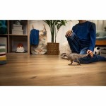 Figura îmbinată Schleich Carcharodontosaurus