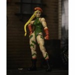Figura îmbinată Street Fighter