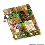 Album de autocolante Panini Animaux