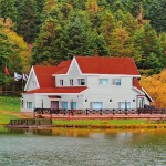 Vopsea de Grund Bondex Gri Finisaj satinat 5 L