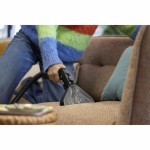 Extractor Kärcher Alb 500 W