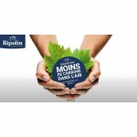 Vopsea de Grund Ripolin Alb Mat 10 L