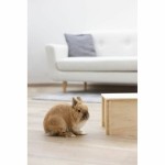 Casă pentru rozătoare Kerbl Bej Lemn