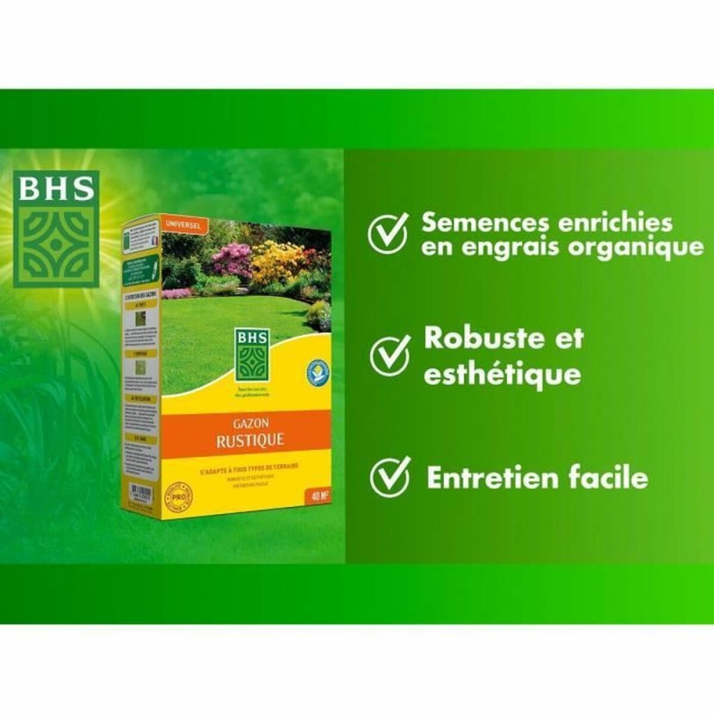 Semințe BHS 1 kg
