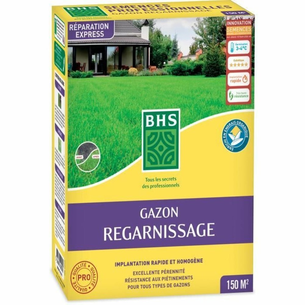 Semințe BHS 3 Kg