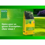 Semințe BHS Gazon Anglais 10 kg