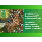 Semințe BHS Gazon Anglais 10 kg