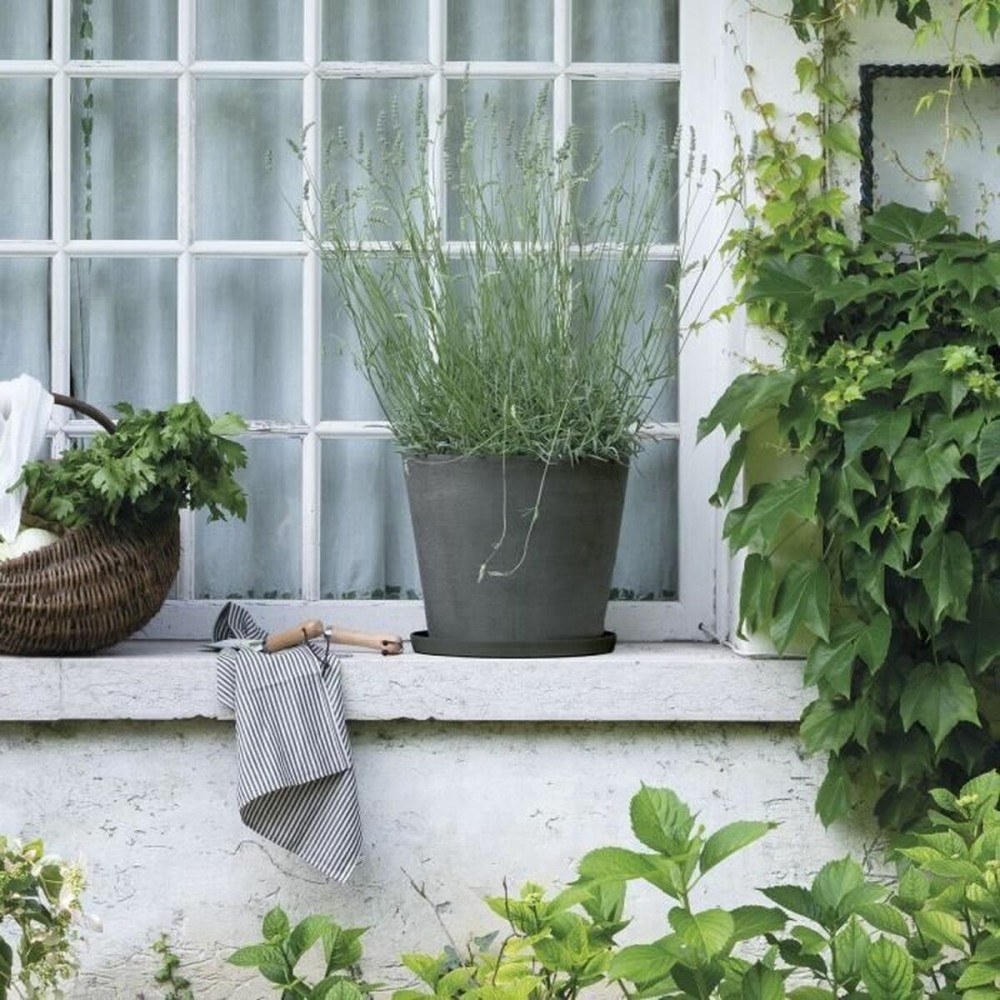 Farfurie pentru ghiveci Deroma