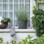 Farfurie pentru ghiveci Deroma