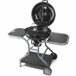 Grătare Portabil Fieldmann FZG 1014 Metal Oțel