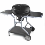 Grătare Portabil Fieldmann FZG 1014 Metal Oțel
