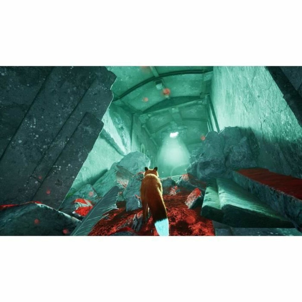 Joc video PlayStation 5 Just For Games