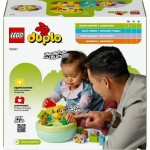 Set de Construcție Lego duplo 10441 17 Piese