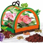 Joc de știință Lisciani Giochi