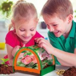 Joc de știință Lisciani Giochi