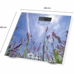 Cântar Digital de Baie Little Balance LITTLE BALANCE