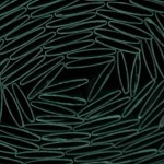 Plasă de camuflaj Nature Verde