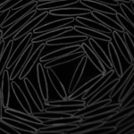 Plasă de camuflaj Nature Gri