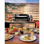 Plită Weber Negru 43 x 22 cm