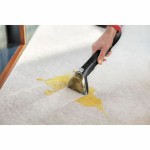 Curățător de covoare Bissell SpotClean Mini Select
