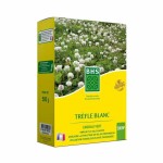 Semințe BHS Trèfle Blanc 500 g