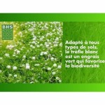 Semințe BHS Trèfle Blanc 500 g