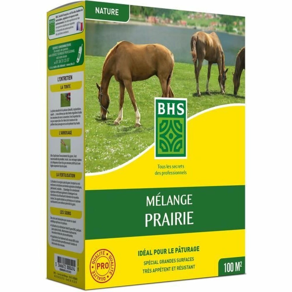 Semințe BHS Mélange 500 g