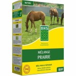 Semințe BHS Mélange 500 g