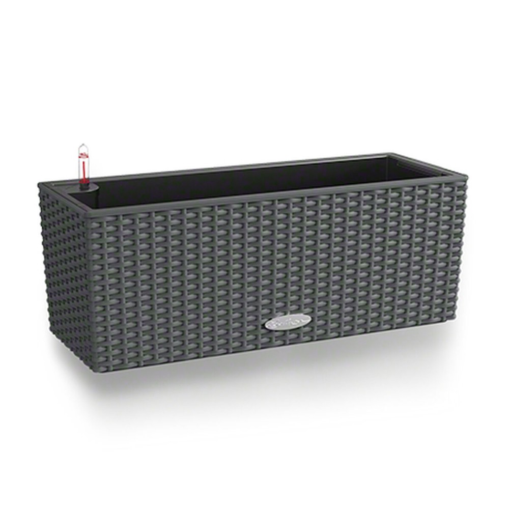 Ghiveci Lechuza Negru Gri polipropilenă