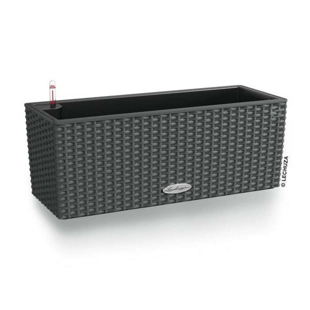 Ghiveci Lechuza Negru Gri polipropilenă