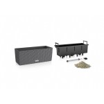 Ghiveci Lechuza Negru Gri polipropilenă