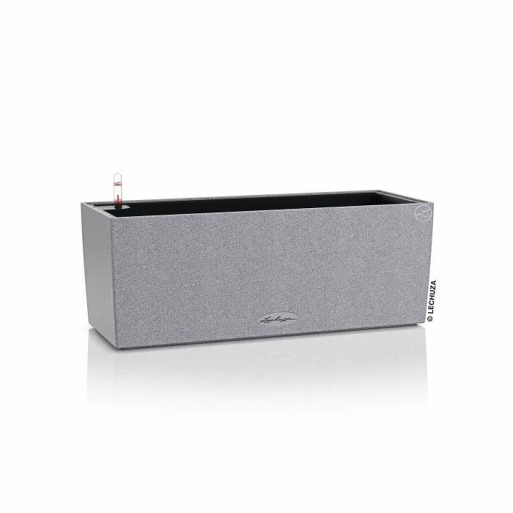 Jardinieră cu auto-udare Lechuza Gri 50 x 19 x 19 cm polipropilenă Dreptunghiular
