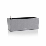 Jardinieră cu auto-udare Lechuza Gri 50 x 19 x 19 cm polipropilenă Dreptunghiular