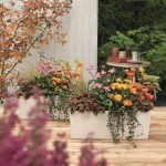 Ghiveci Lechuza Alb Negru polipropilenă