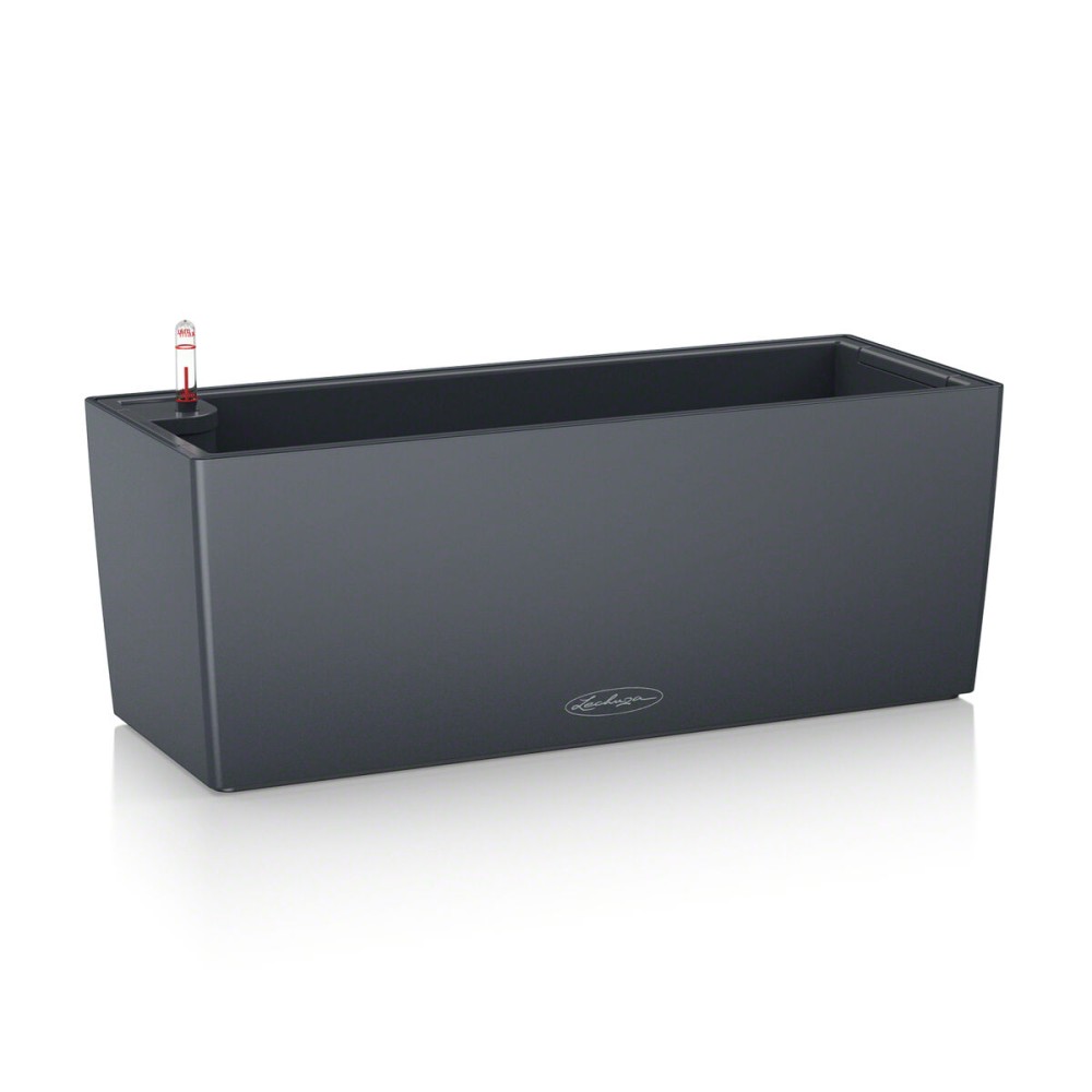 Ghiveci Lechuza Negru Gri polipropilenă